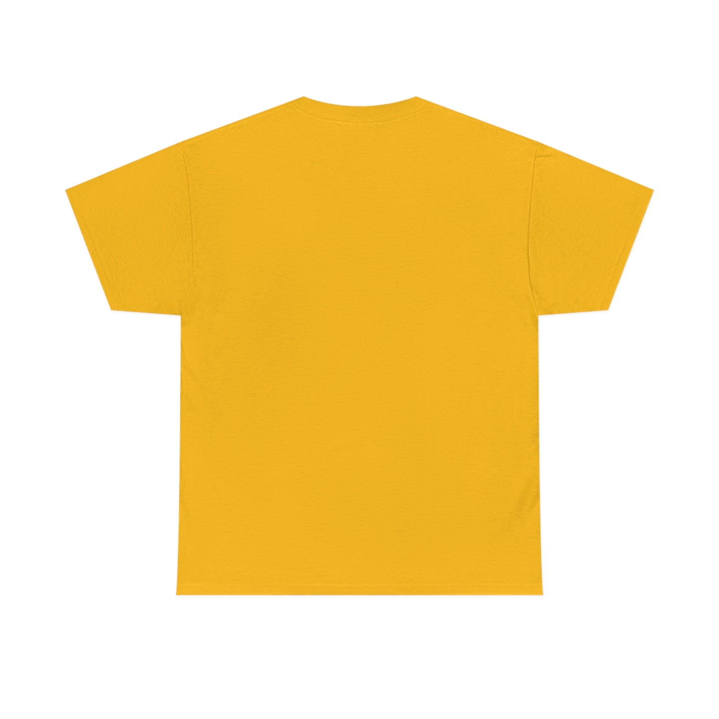 Air Force- Heavy Cotton Tee