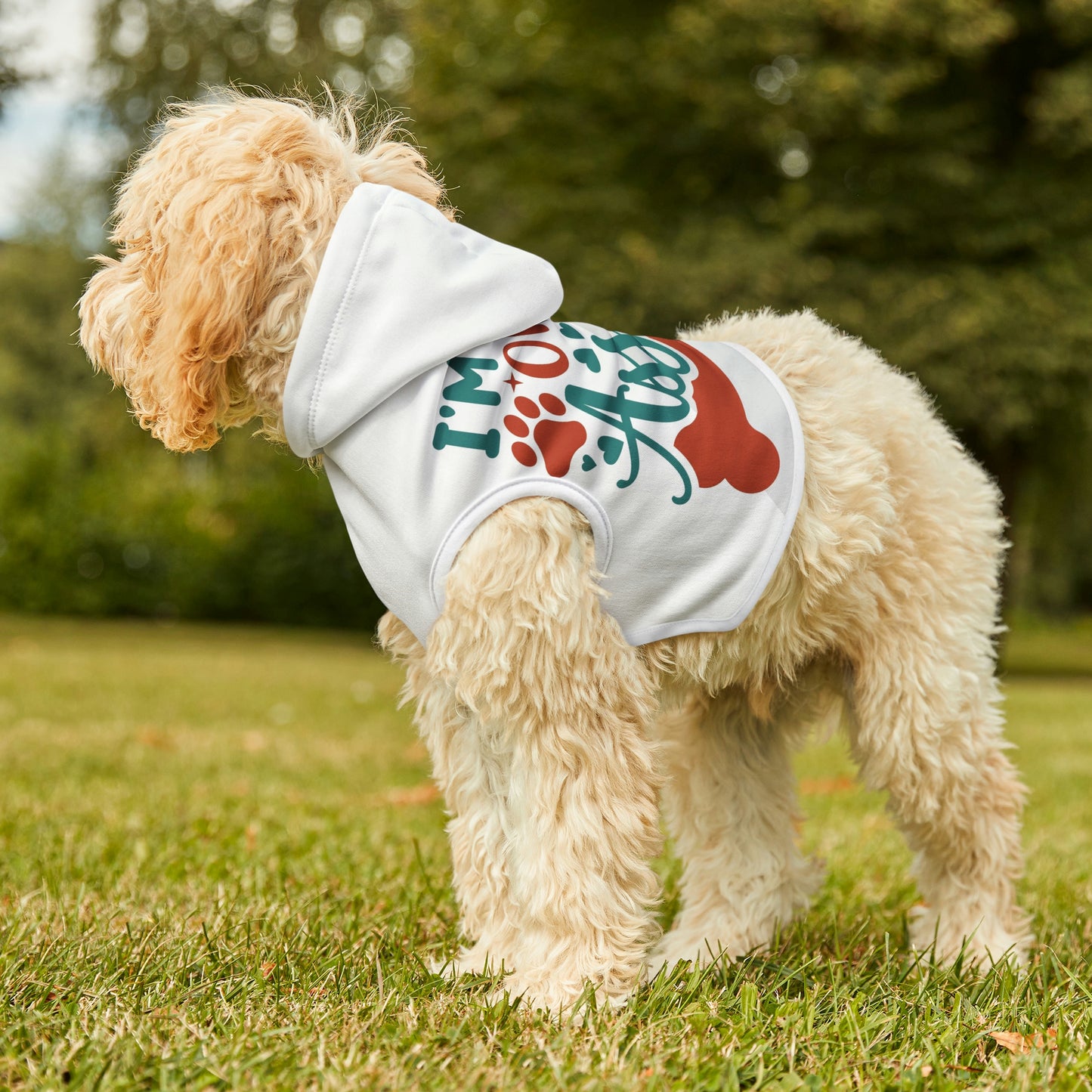 Kind of an asshole- Dog Hoodie