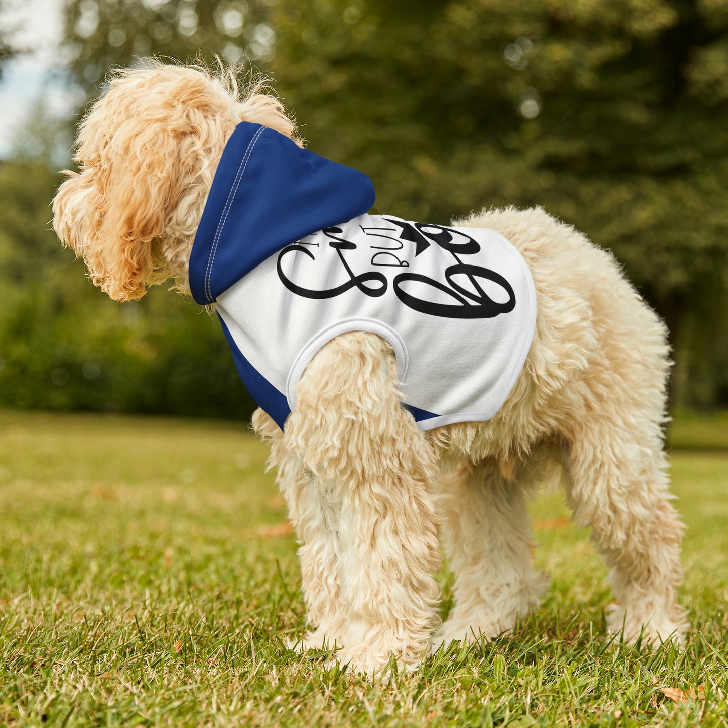 I’m the boss- Dog Hoodie