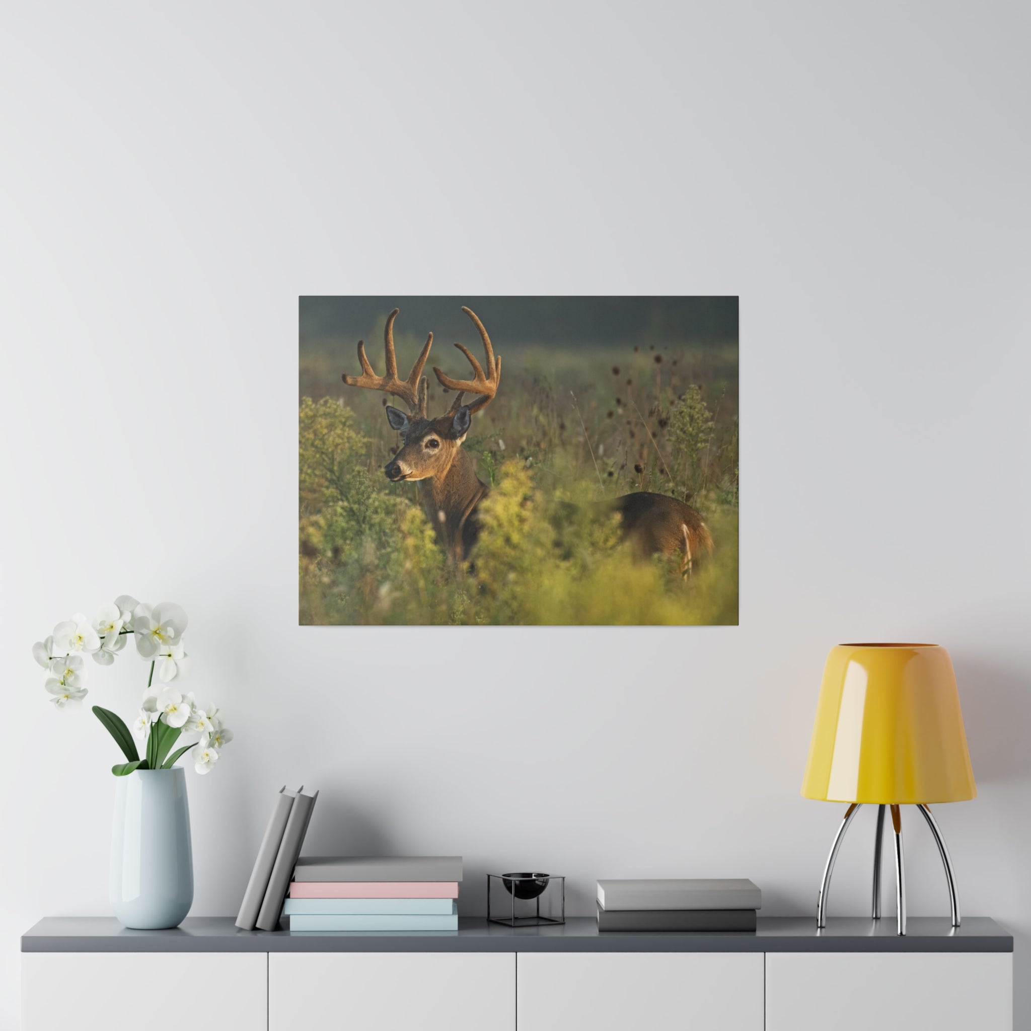 Deer- Matte Canvas, Stretched, 0.75"