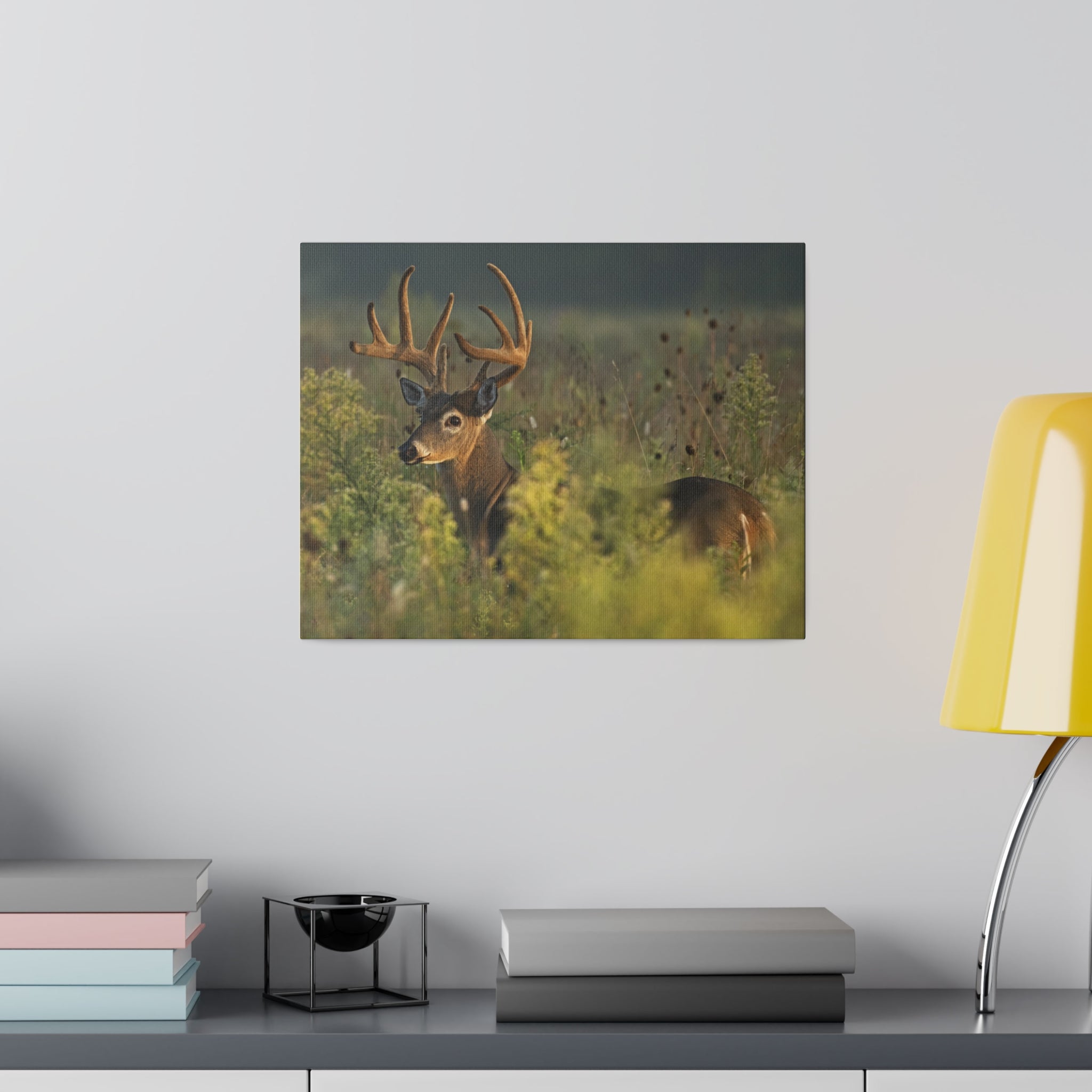Deer- Matte Canvas, Stretched, 0.75"