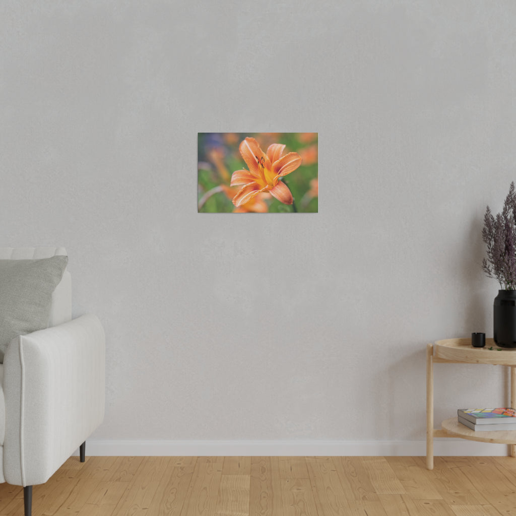 Lilly flower— Matte Canvas, Stretched, 0.75"