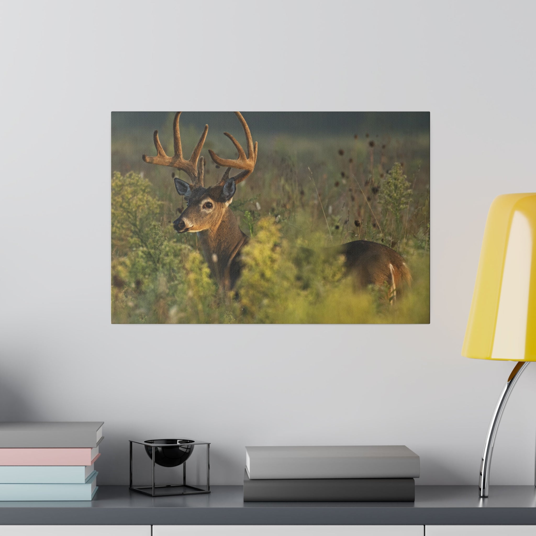 Deer- Matte Canvas, Stretched, 0.75"