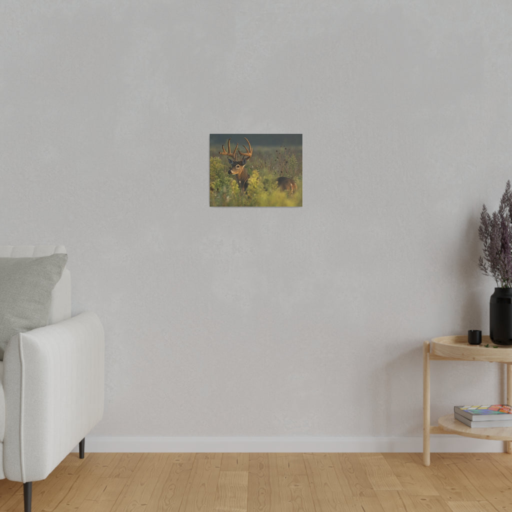 Deer- Matte Canvas, Stretched, 0.75"