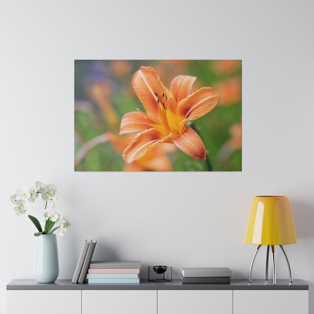 Lilly flower— Matte Canvas, Stretched, 0.75"