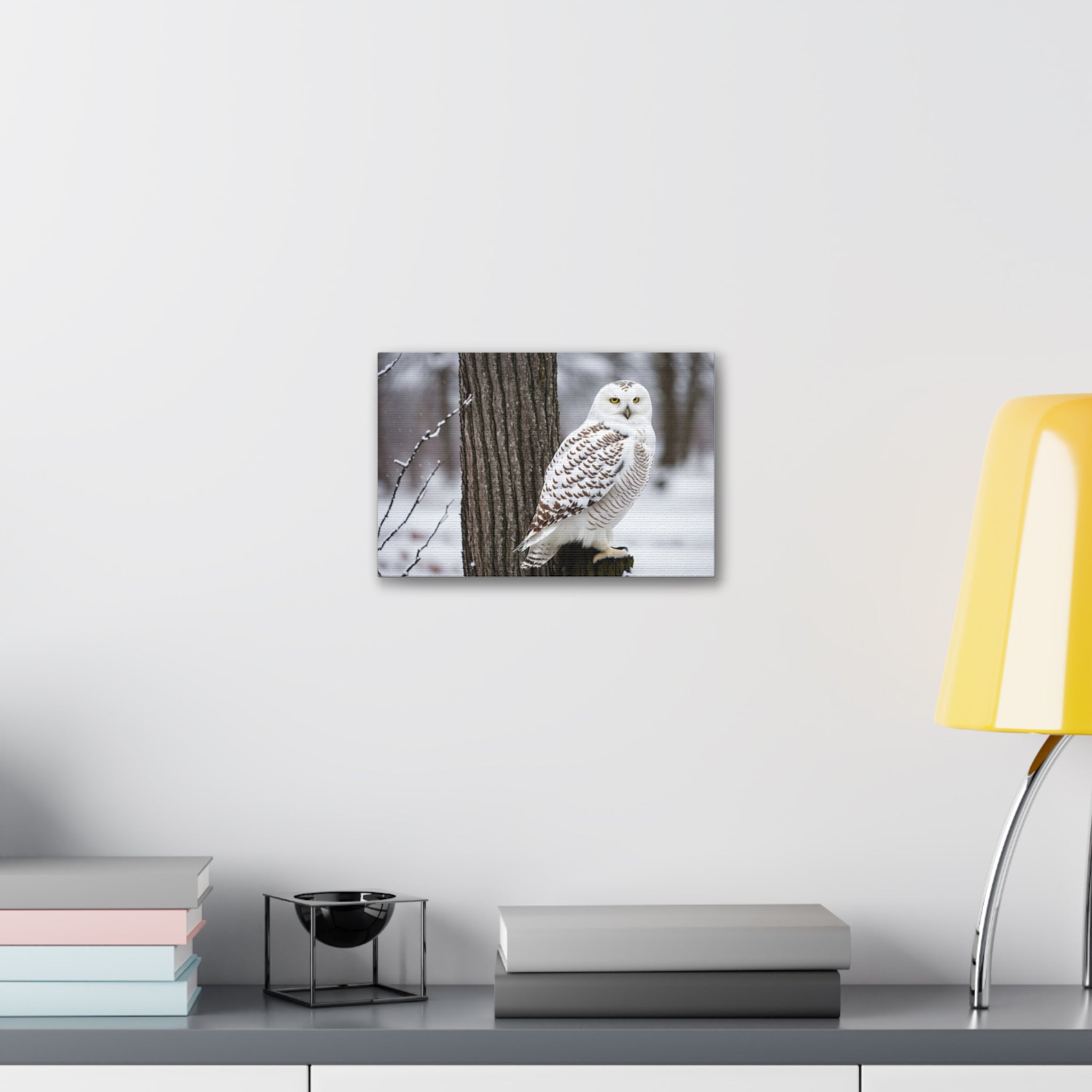 Snow owl Canvas Stretched, 1.5''