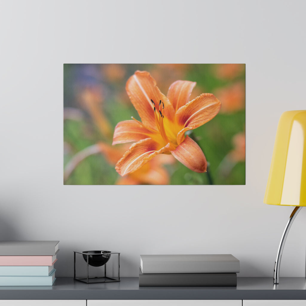 Lilly flower— Matte Canvas, Stretched, 0.75"