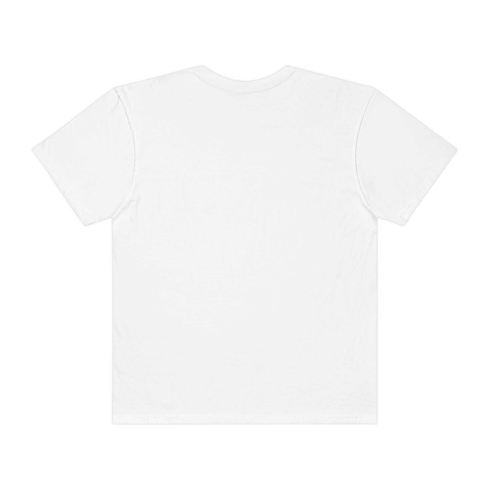 Dad, veteran, nothing scares me- Garment-Dyed T-shirt