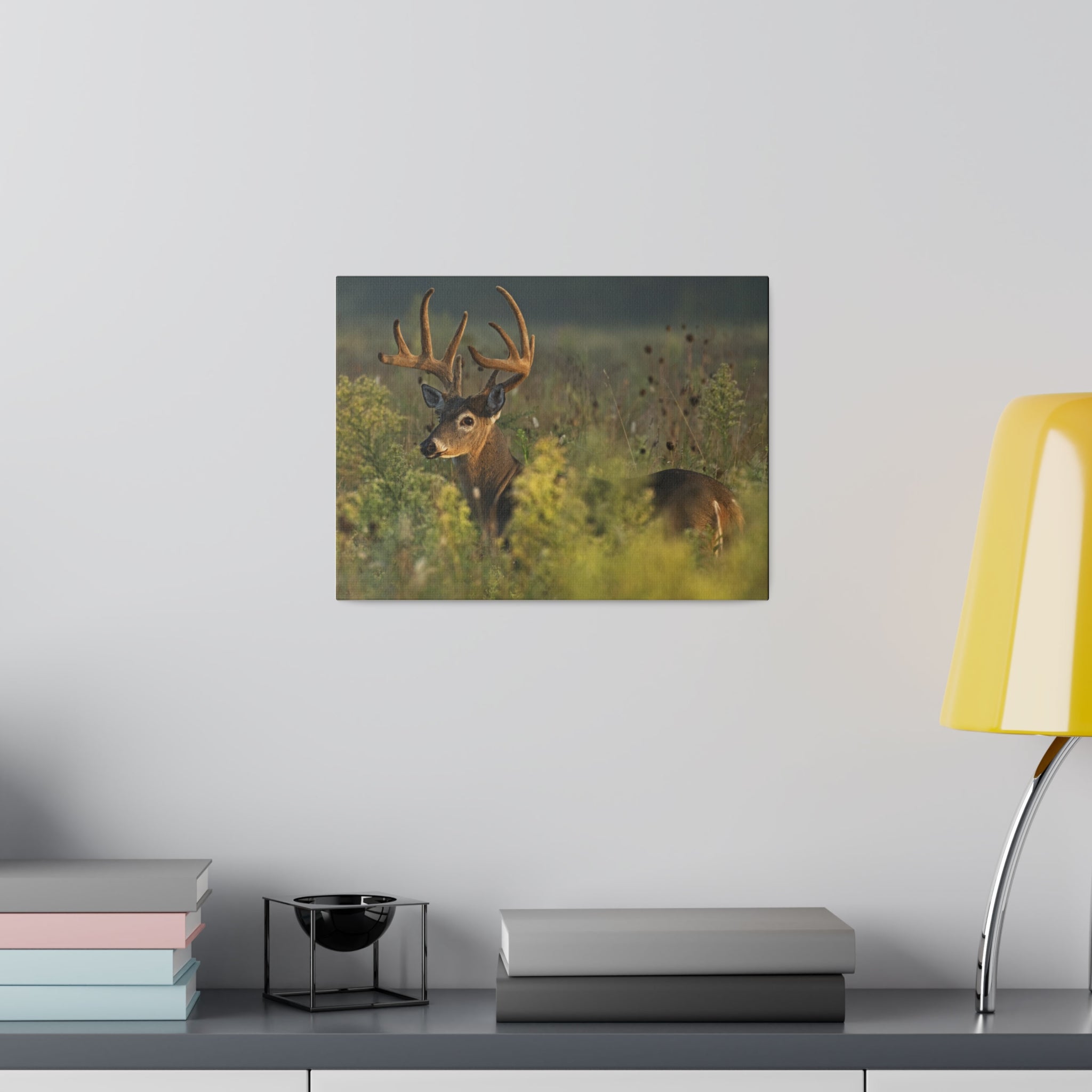 Deer- Matte Canvas, Stretched, 0.75"
