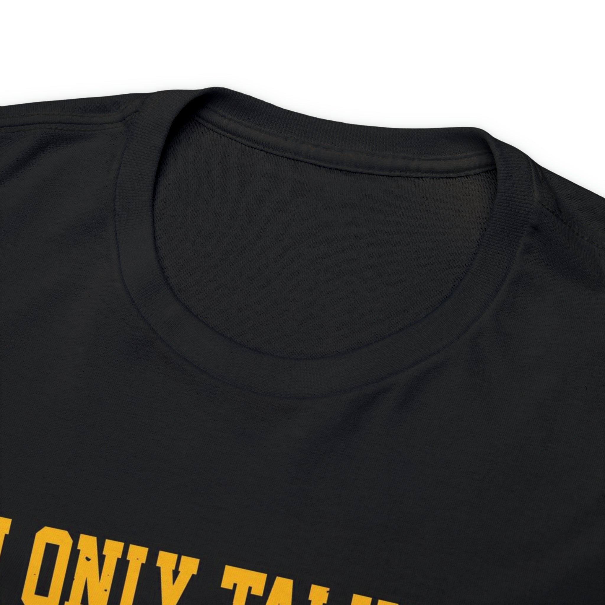 Im only talking to my dogs today- Heavy Cotton Tee