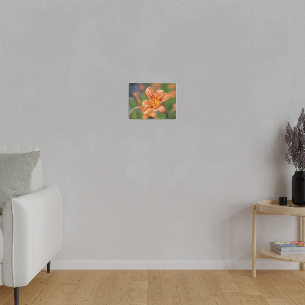 Lilly flower— Matte Canvas, Stretched, 0.75"