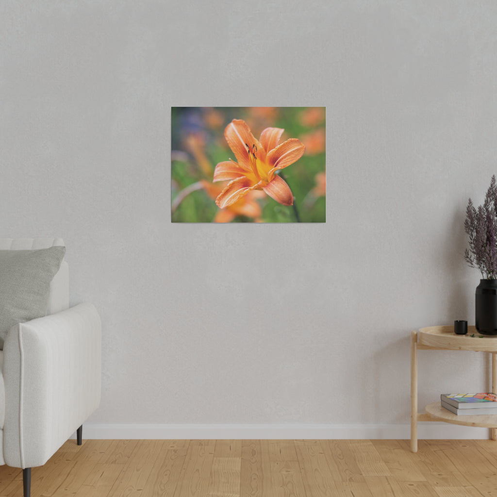 Lilly flower— Matte Canvas, Stretched, 0.75"