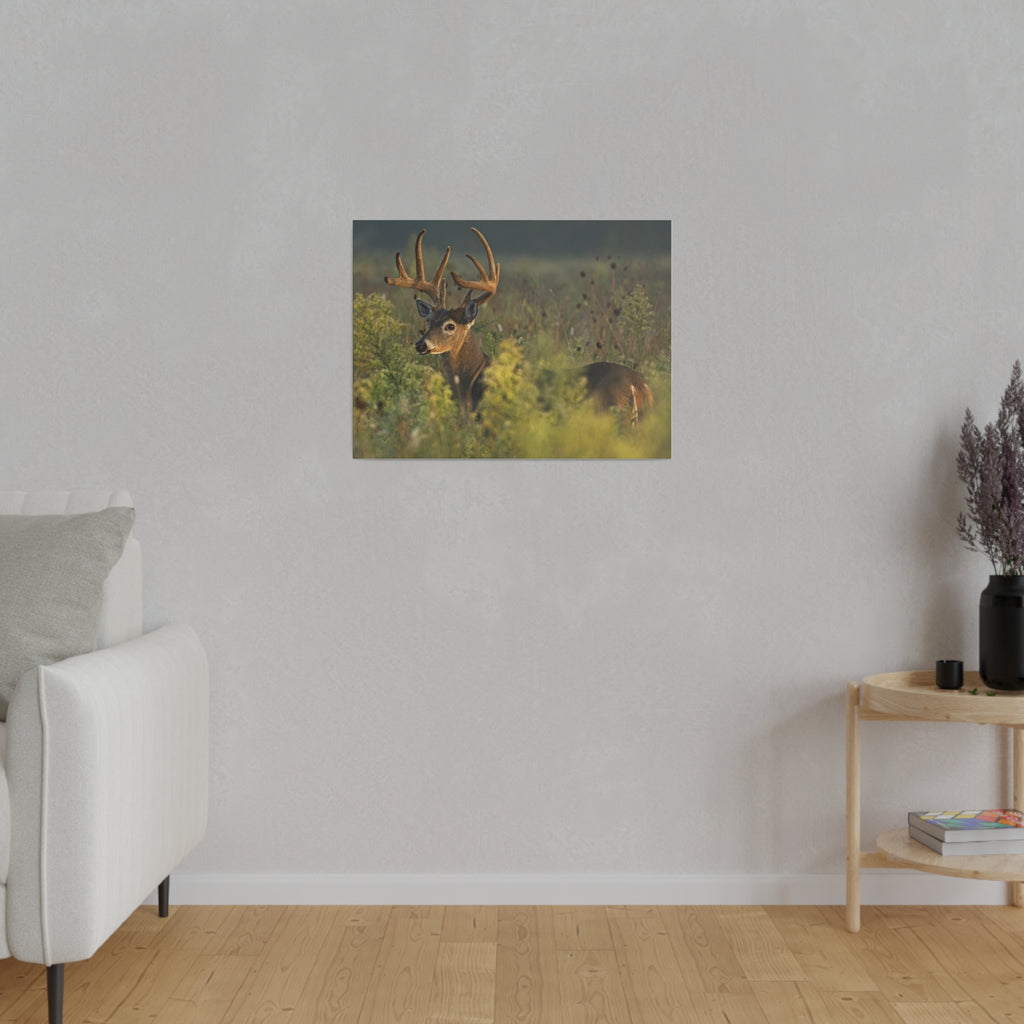 Deer- Matte Canvas, Stretched, 0.75"