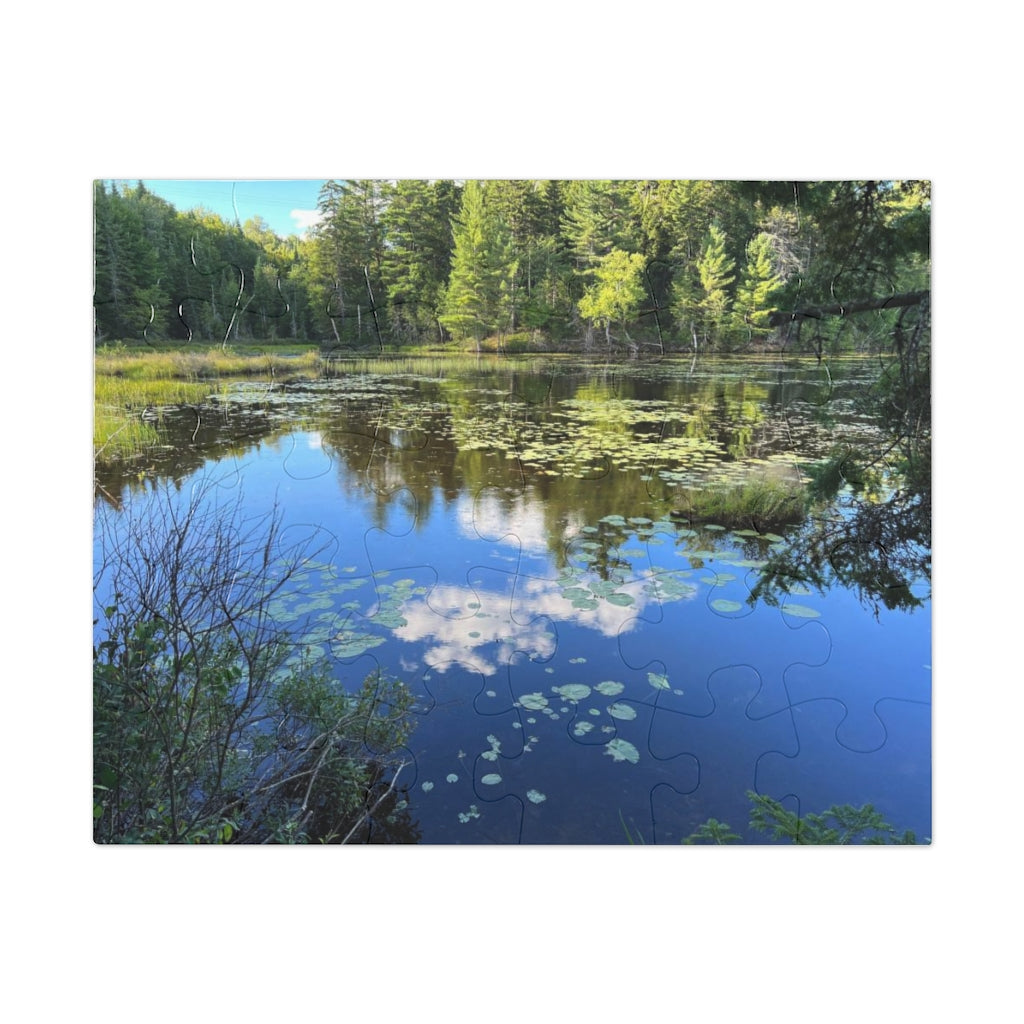 Jigsaw Puzzle (30, 110, 252, 500,1000-Piece)