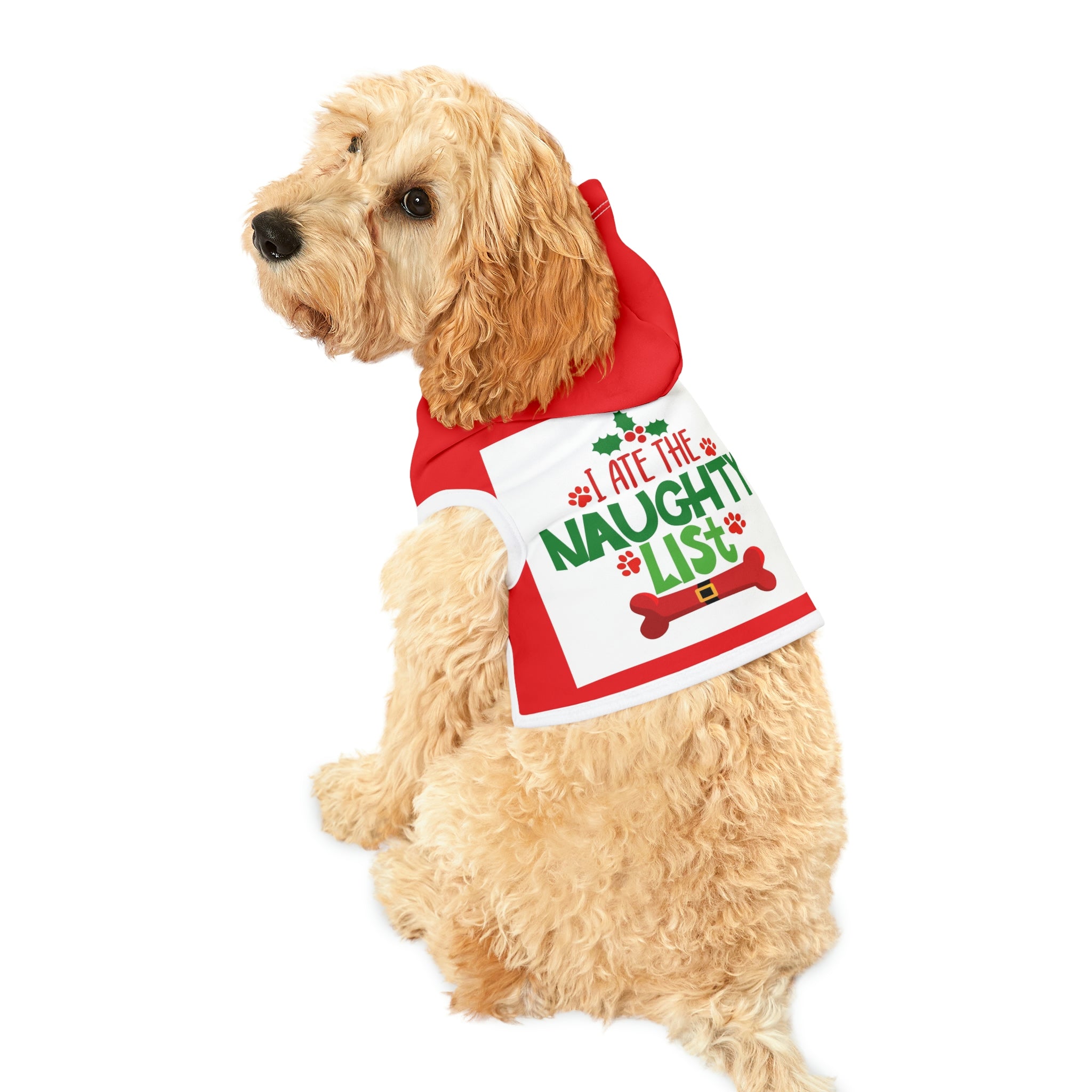Dog Hoodie