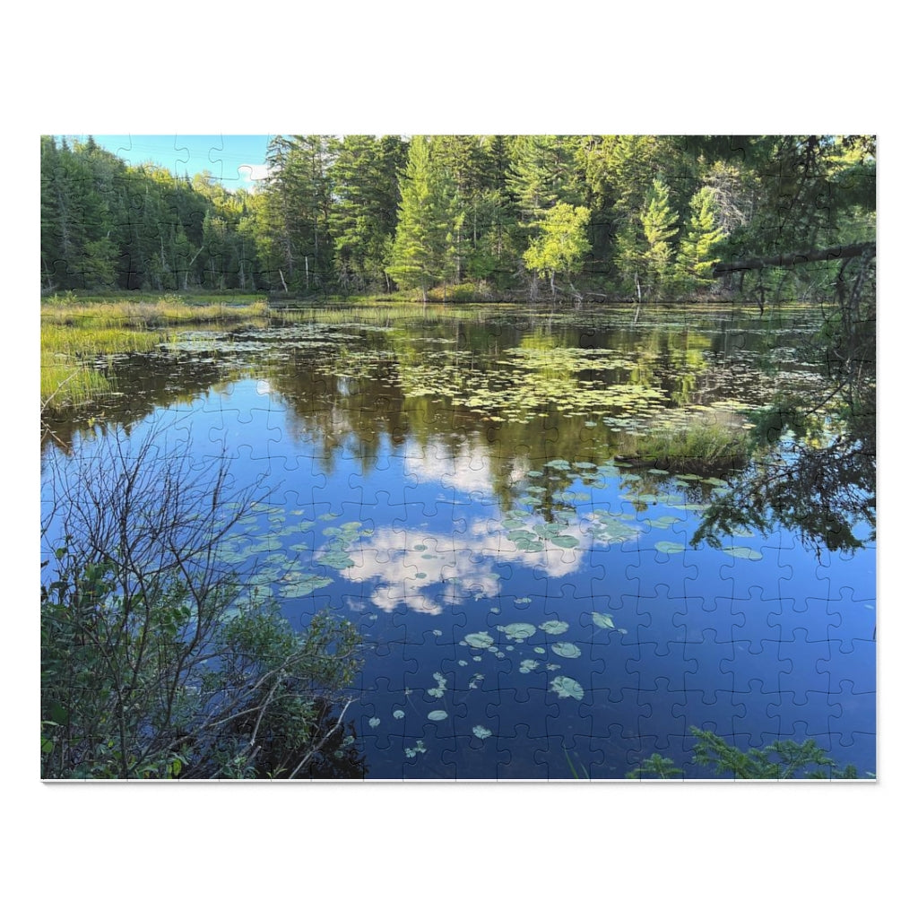 Jigsaw Puzzle (30, 110, 252, 500,1000-Piece)