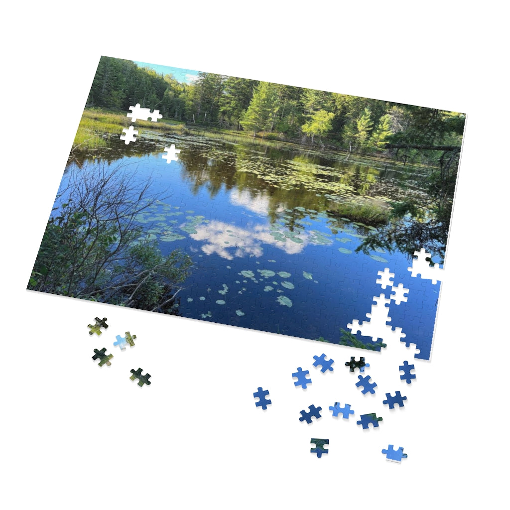 Jigsaw Puzzle (30, 110, 252, 500,1000-Piece)