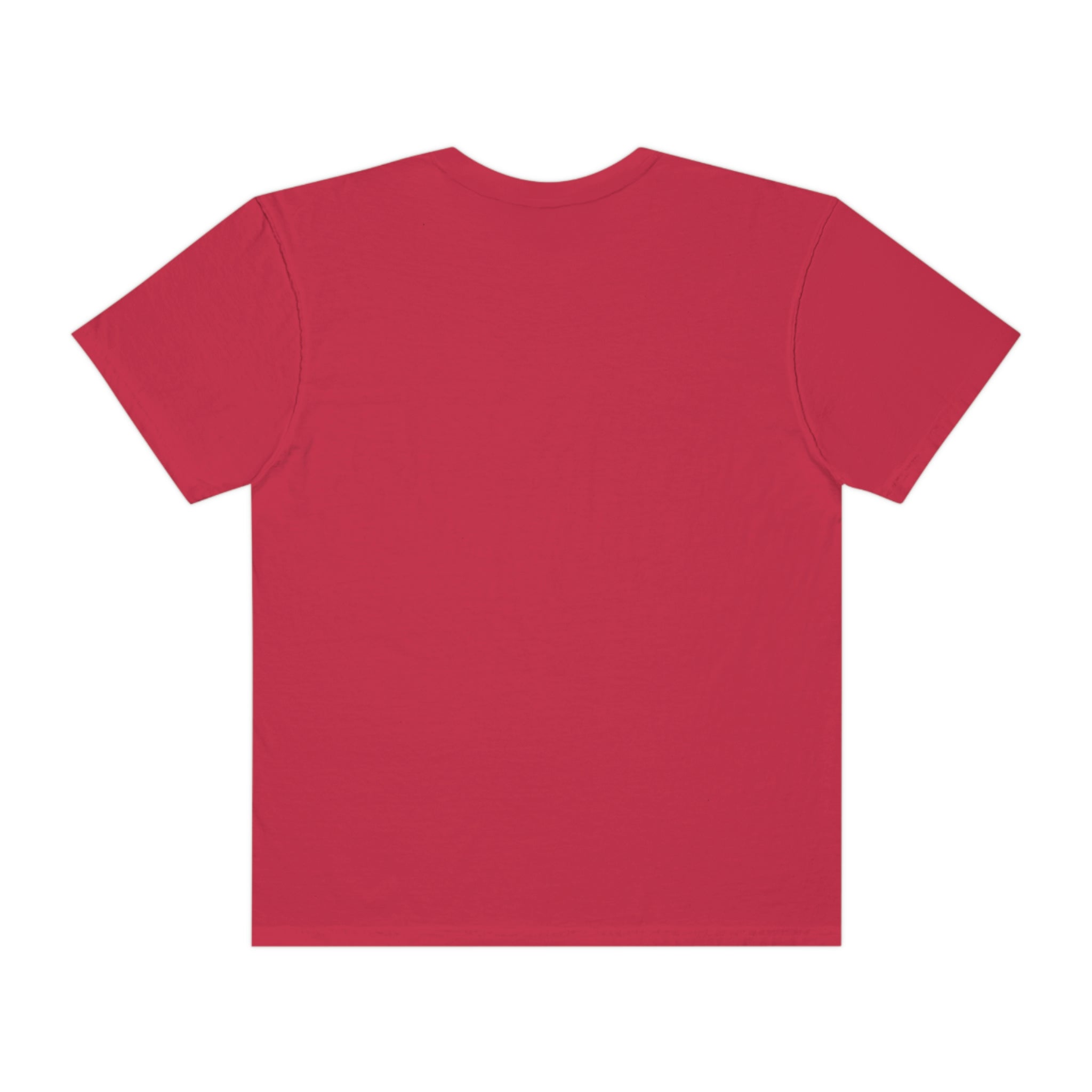 Two faced- Garment-Dyed T-shirt
