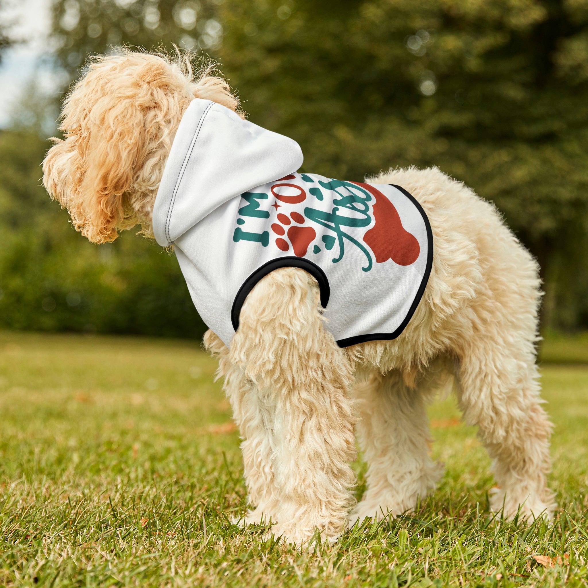 Kind of an asshole- Dog Hoodie