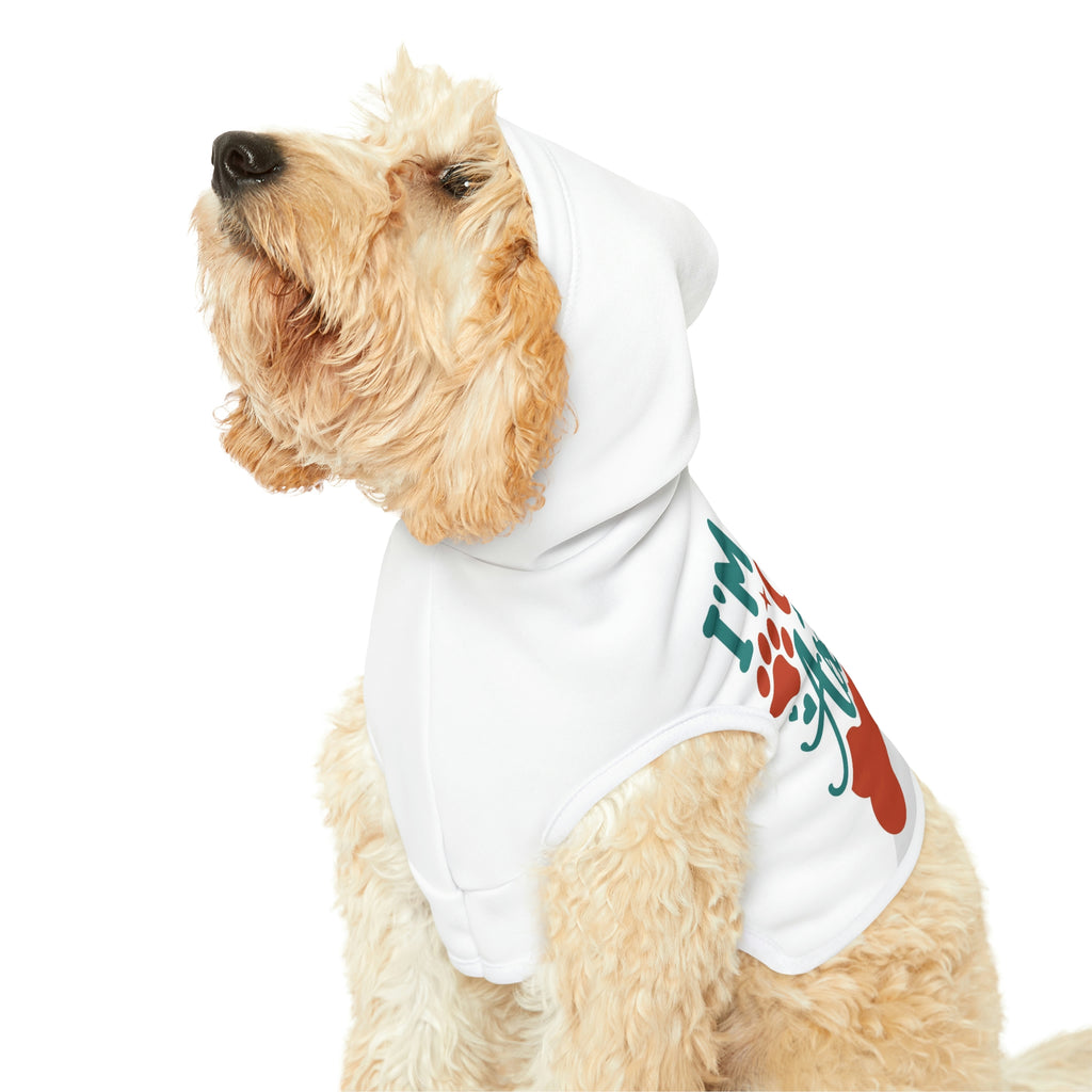 Kind of an asshole- Dog Hoodie