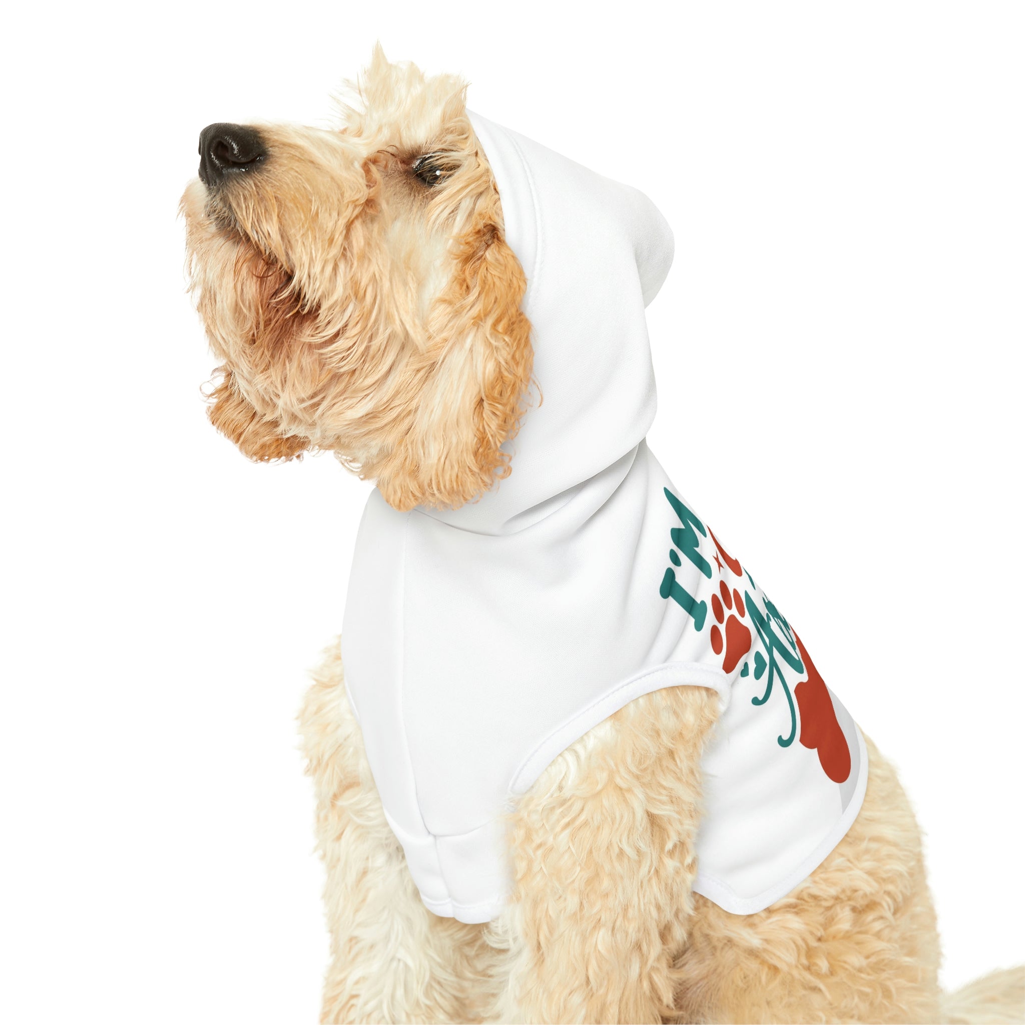 Kind of an asshole- Dog Hoodie
