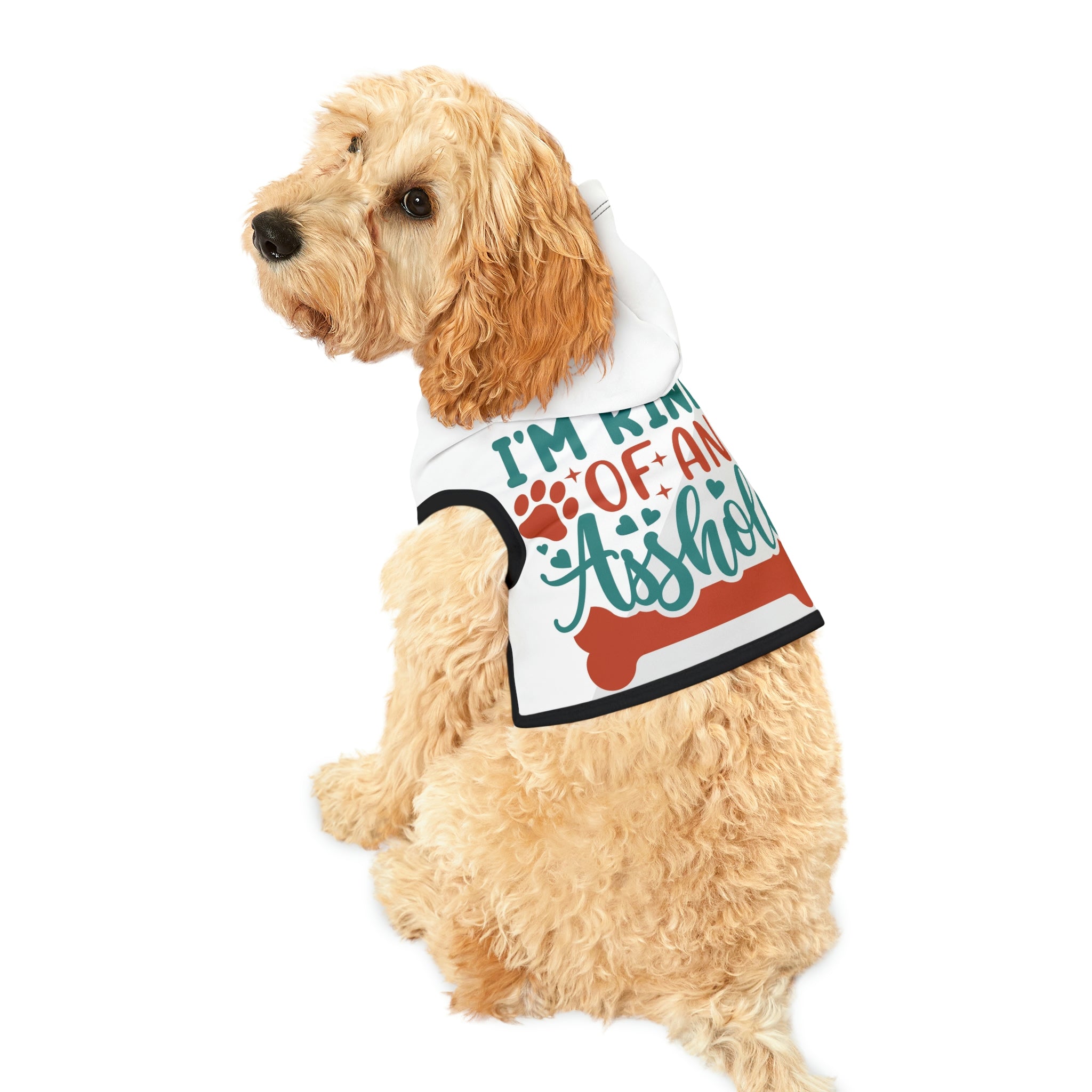 Kind of an asshole- Dog Hoodie