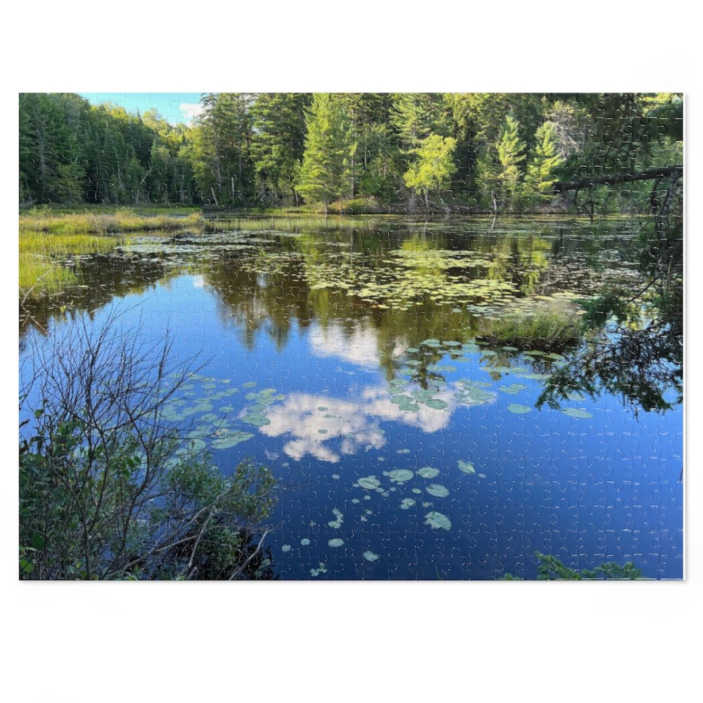 Jigsaw Puzzle (30, 110, 252, 500,1000-Piece)