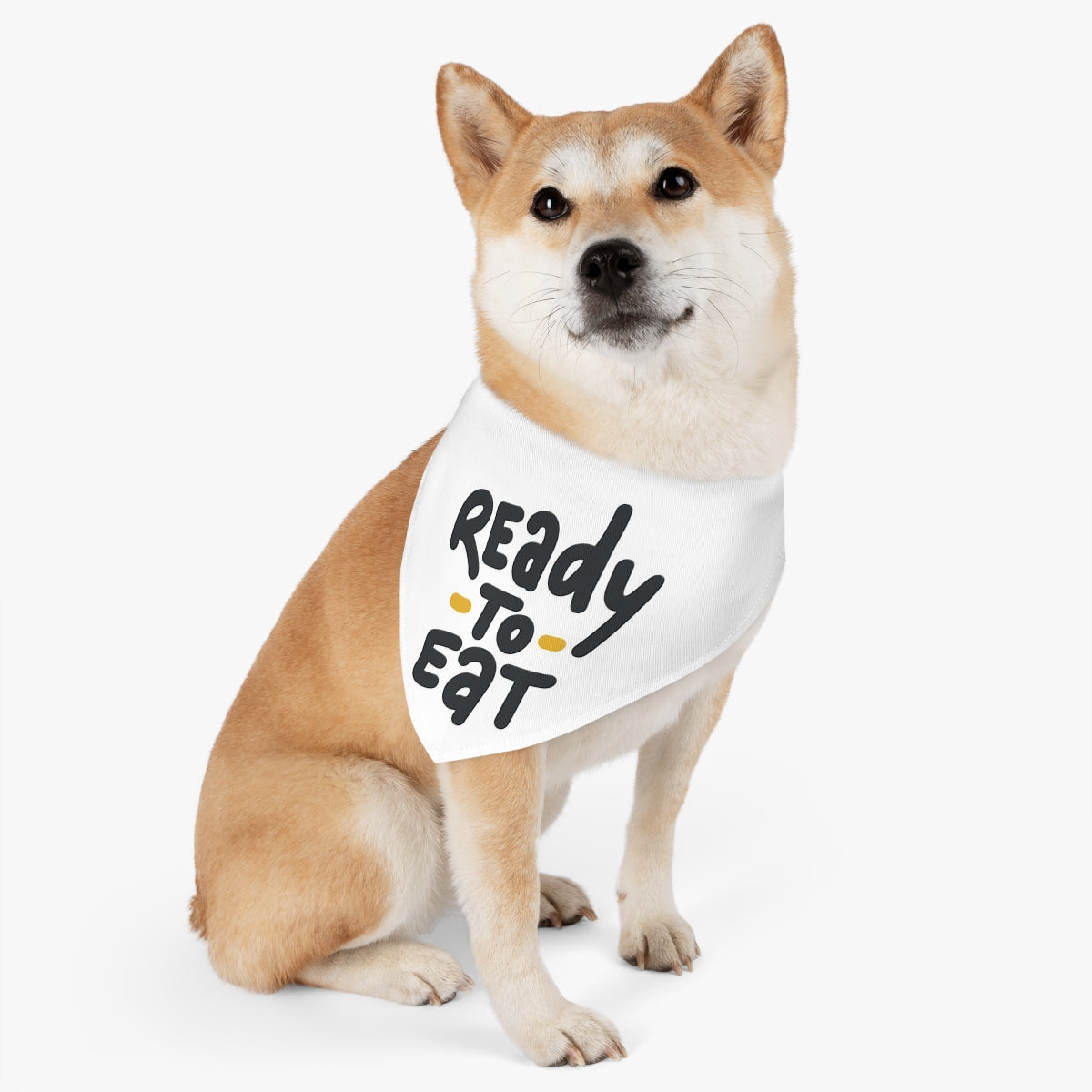 Ready to eat— Pet Bandana Collar
