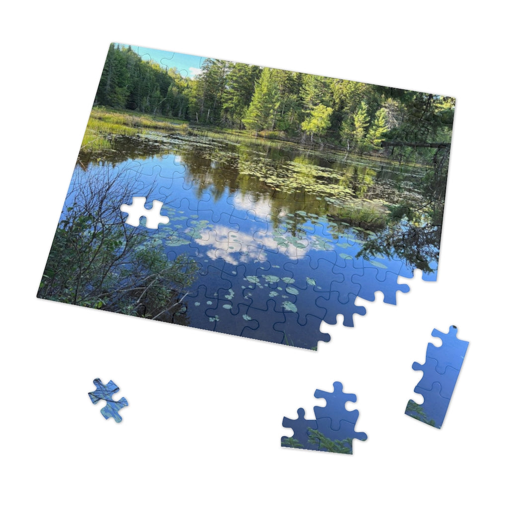 Jigsaw Puzzle (30, 110, 252, 500,1000-Piece)