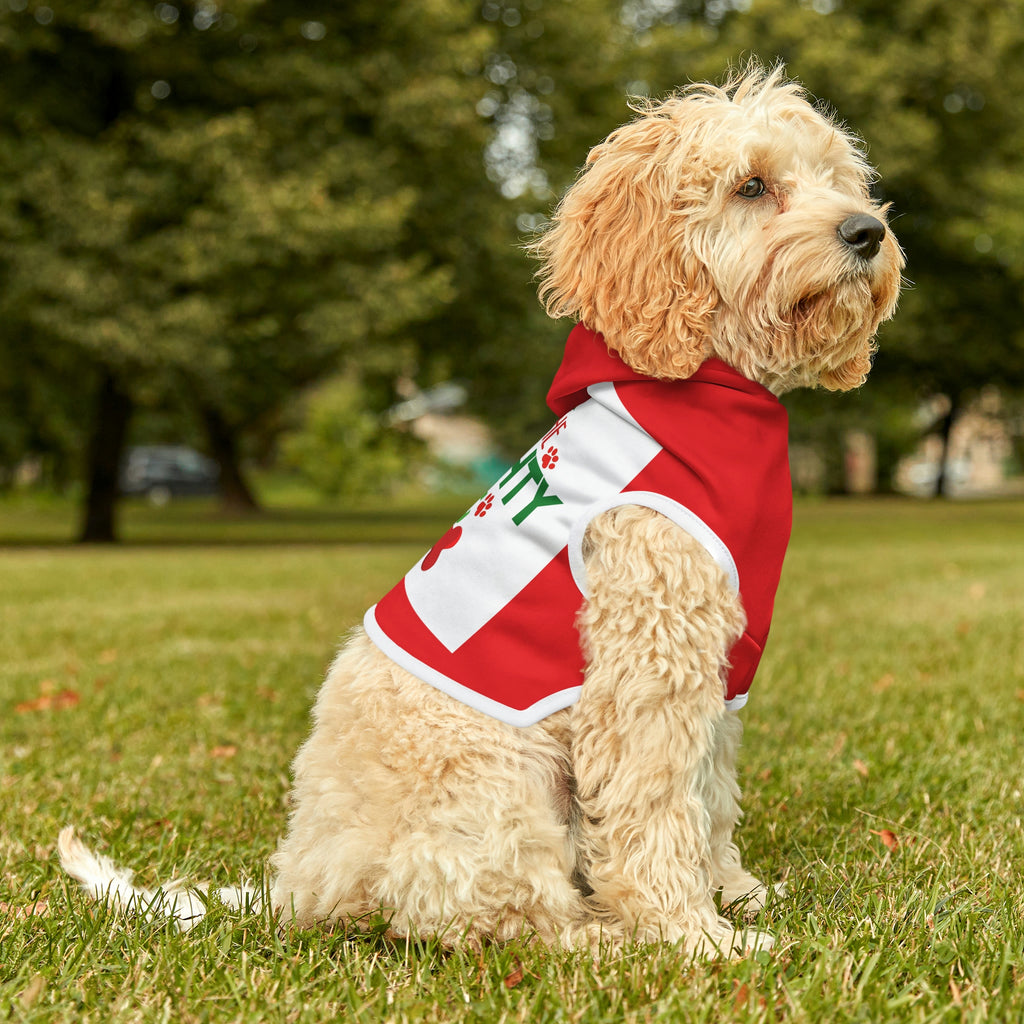Dog Hoodie