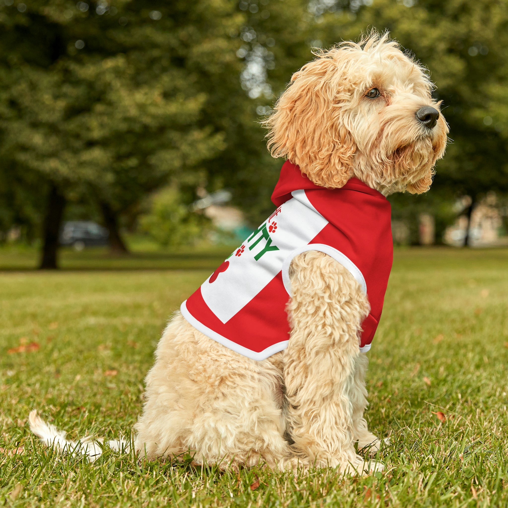Dog Hoodie