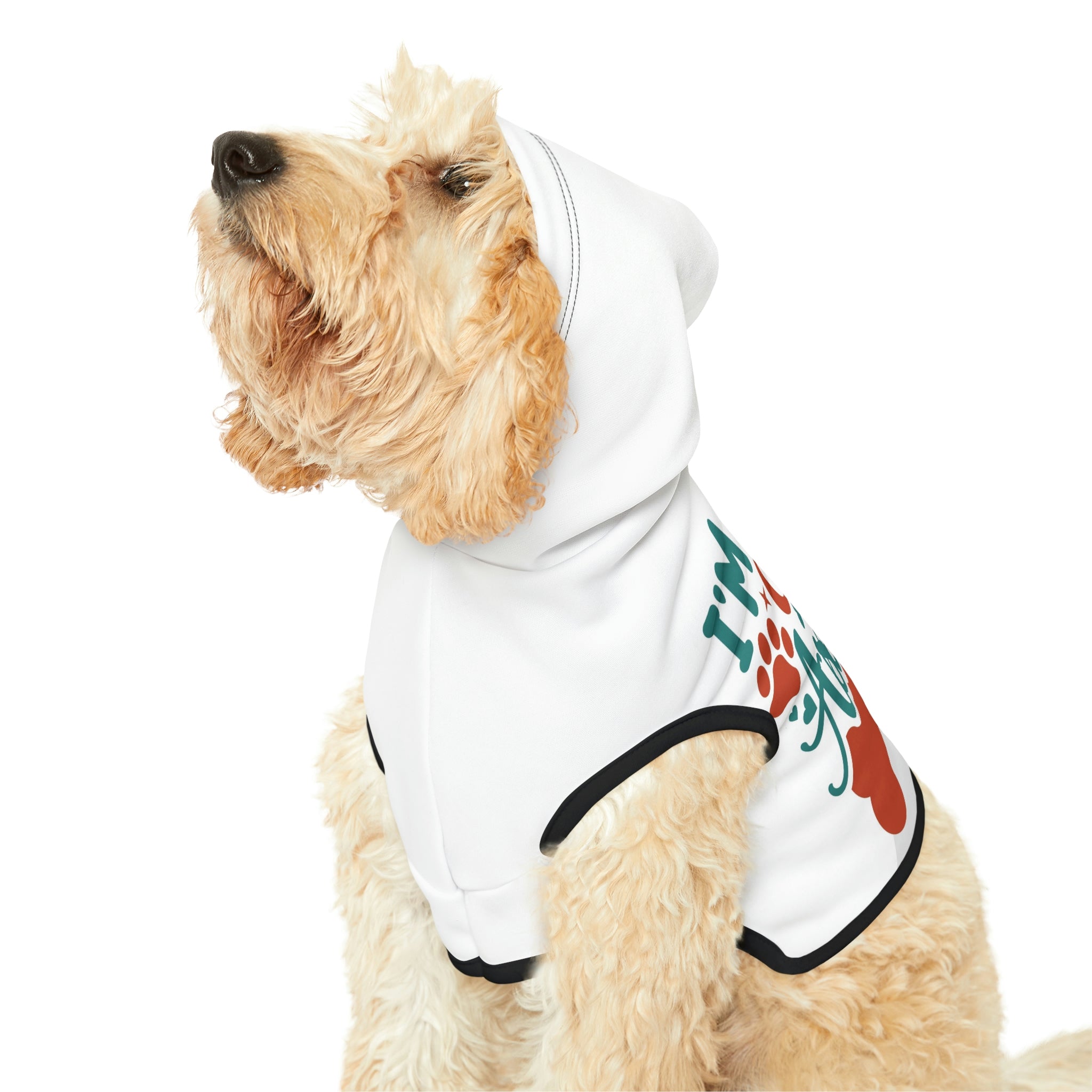 Kind of an asshole- Dog Hoodie
