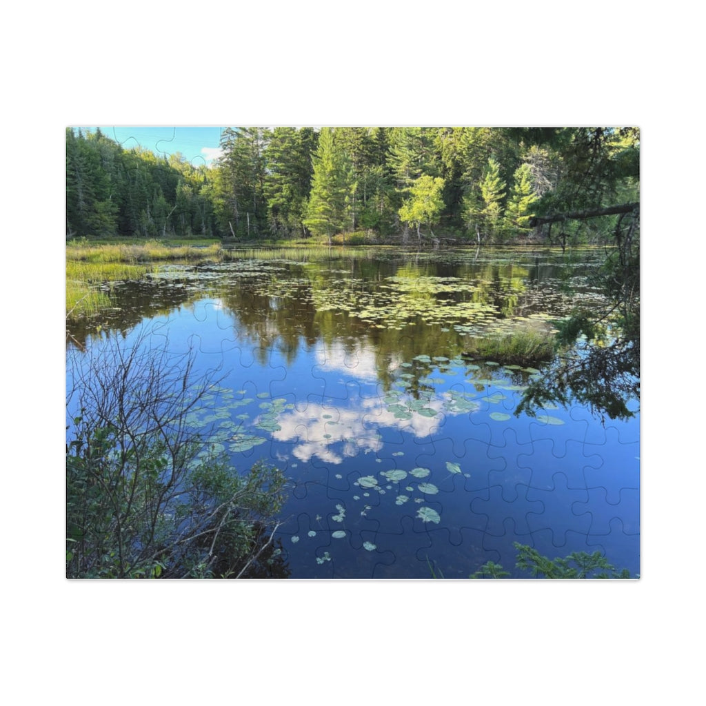 Jigsaw Puzzle (30, 110, 252, 500,1000-Piece)
