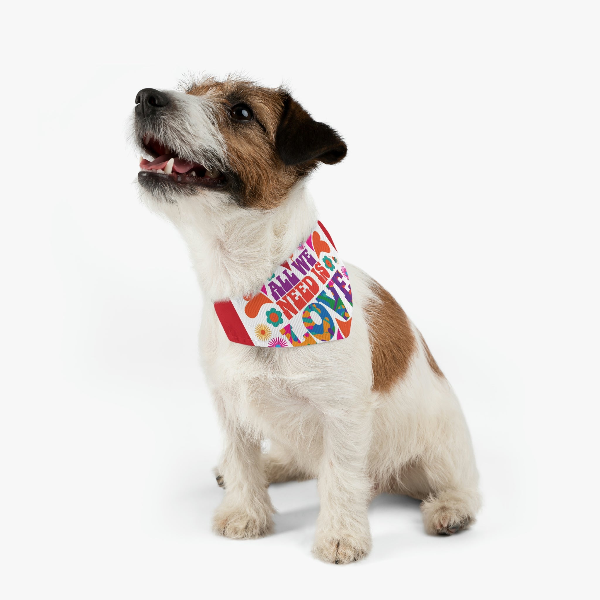 All we need is love- Pet Bandana Collar