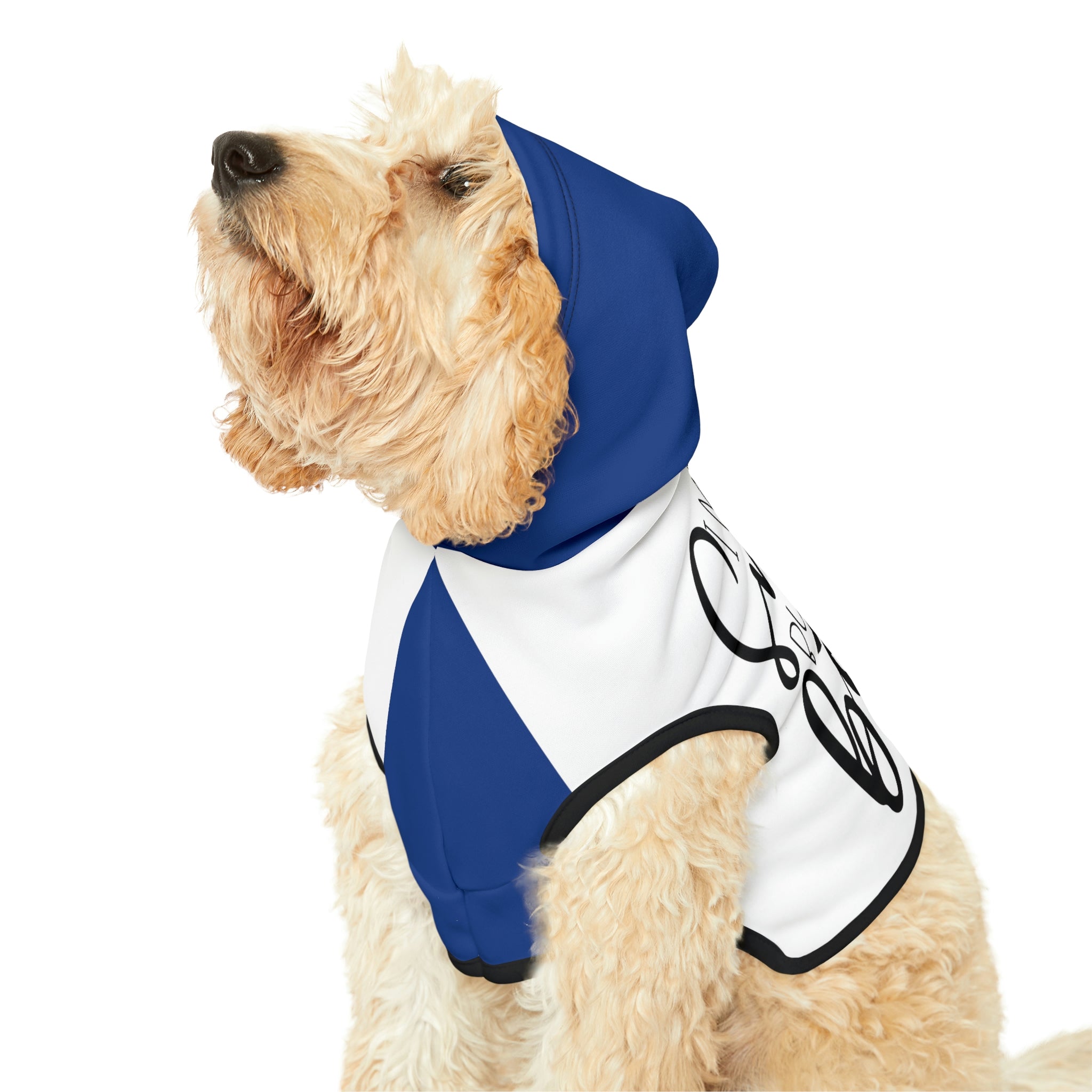 I’m the boss- Dog Hoodie