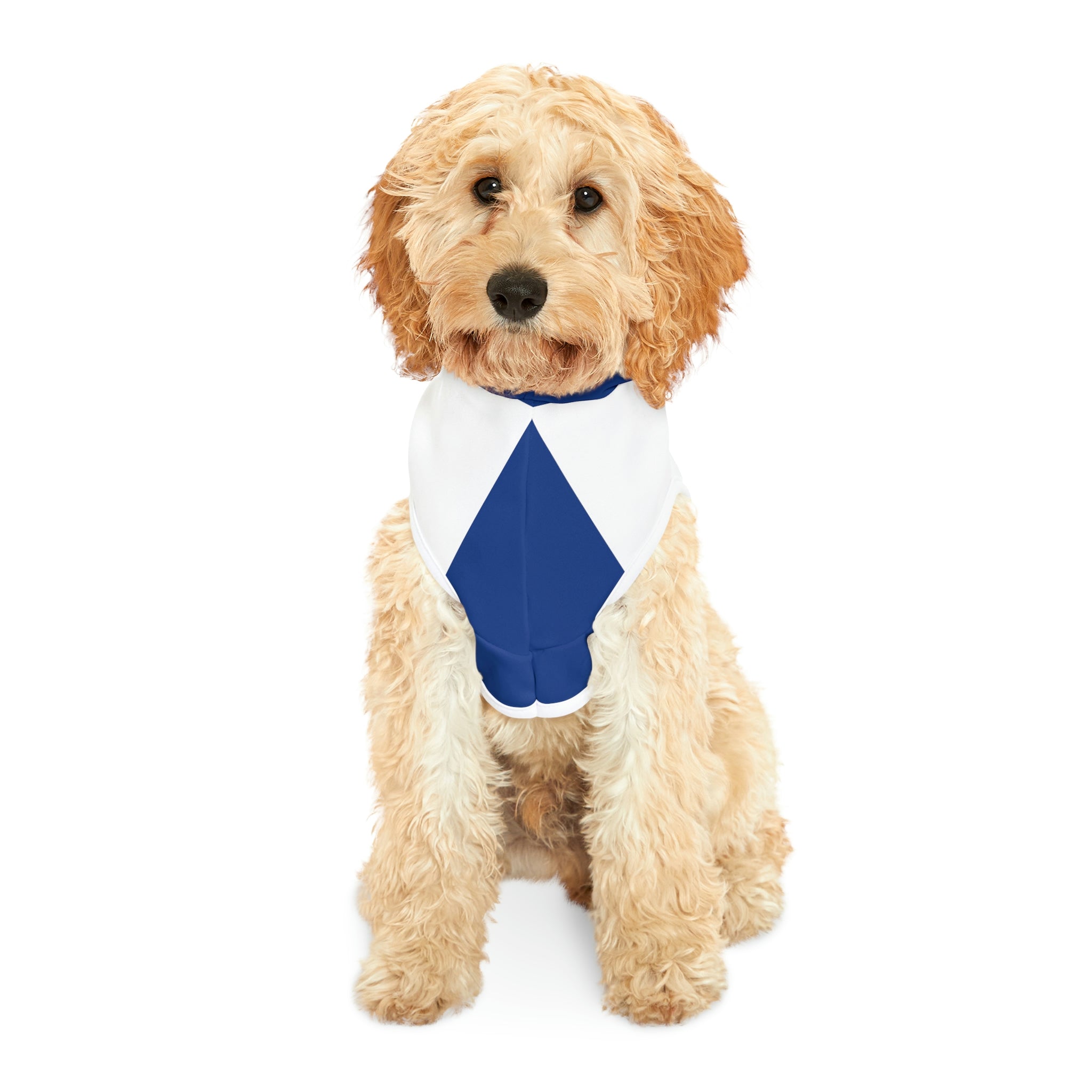 I’m the boss- Dog Hoodie