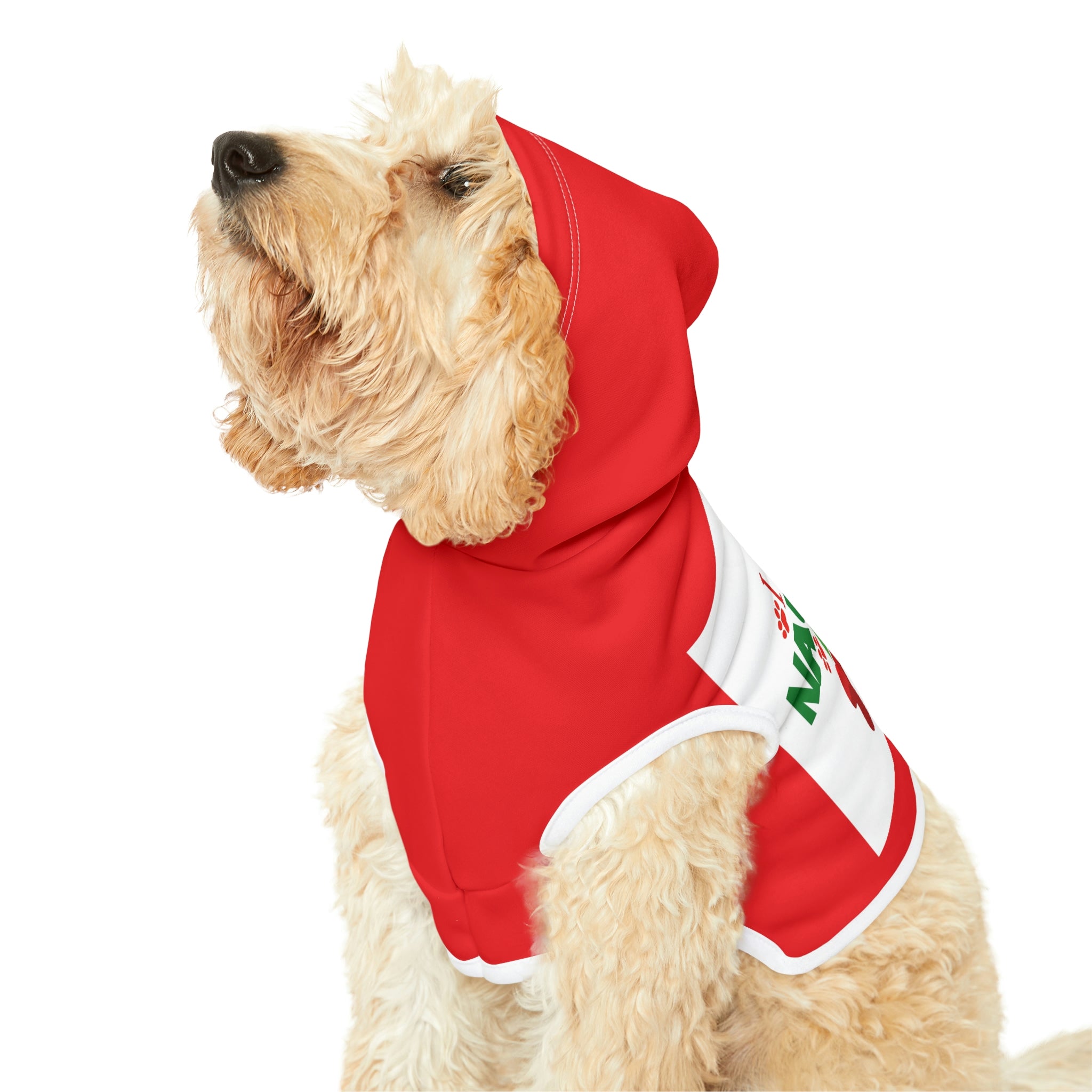 Dog Hoodie