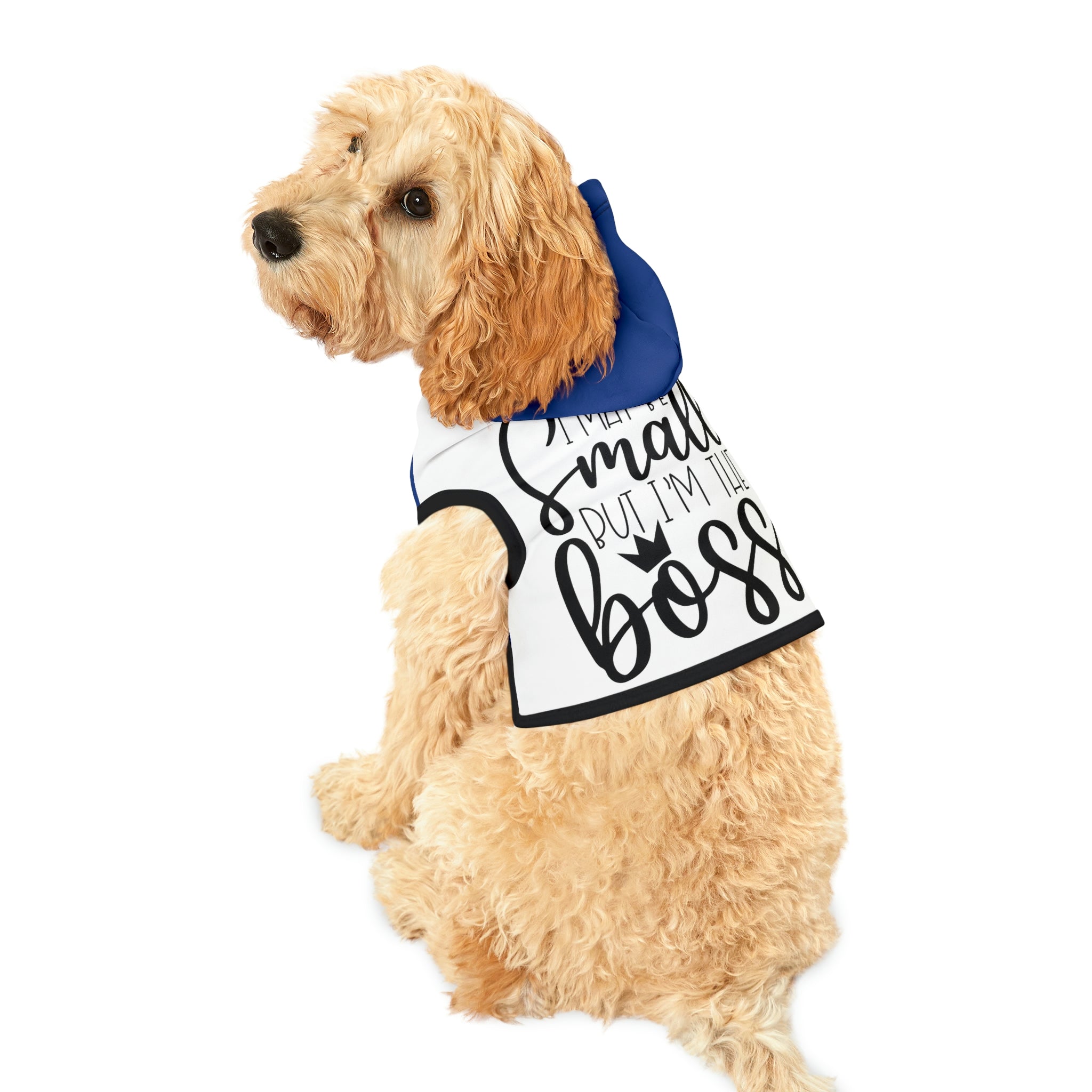 I’m the boss- Dog Hoodie