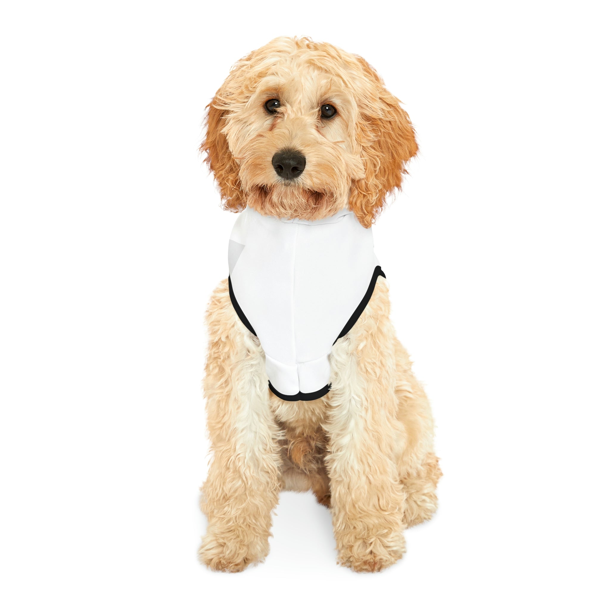 Kind of an asshole- Dog Hoodie