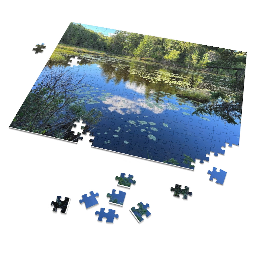 Jigsaw Puzzle (30, 110, 252, 500,1000-Piece)
