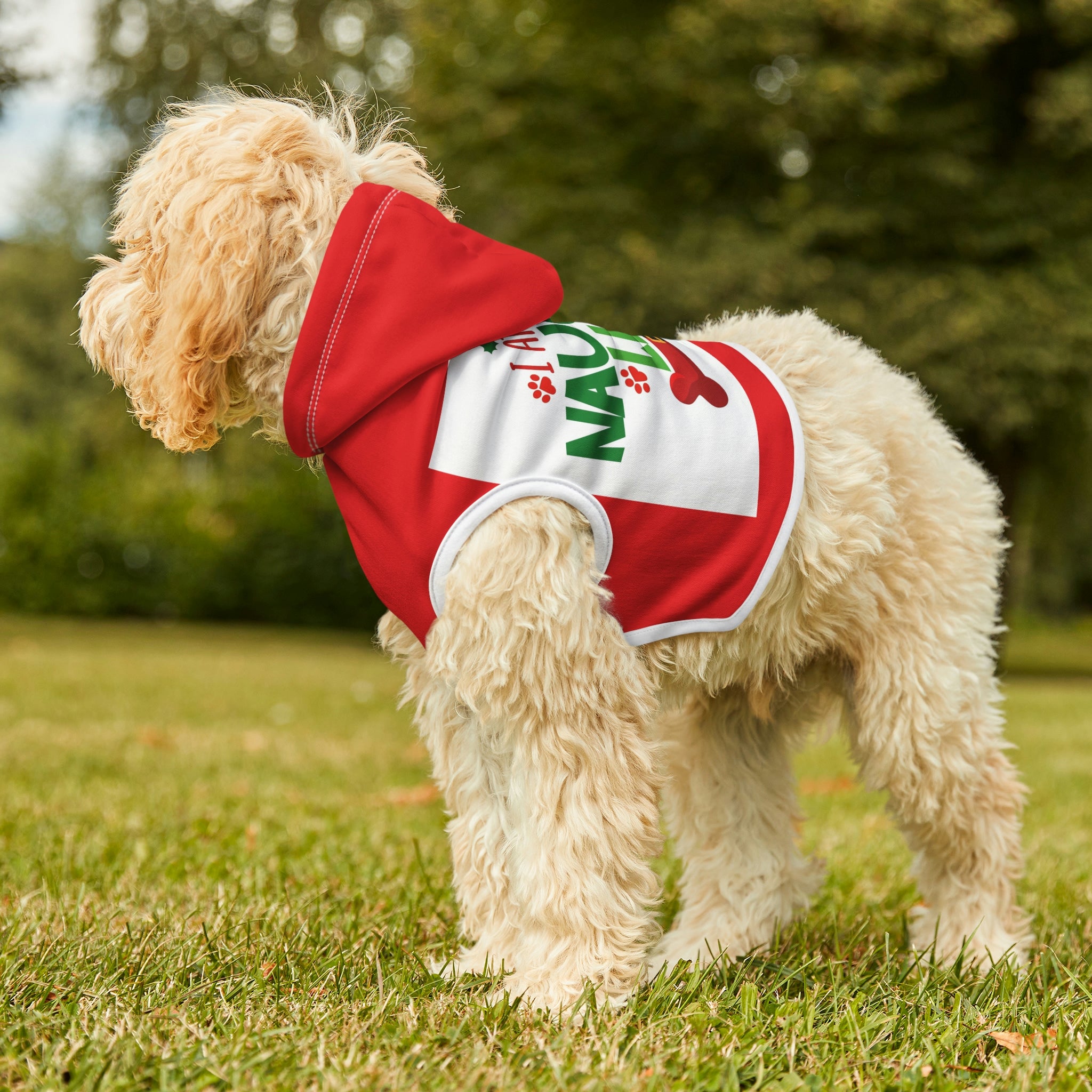 Dog Hoodie
